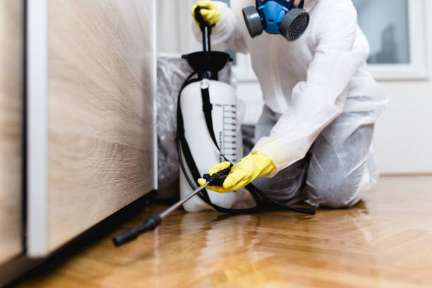 Best Wasp Removal Services  in North Newton, KS