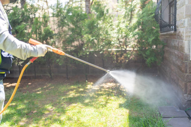 Professional Pest Control in North Newton, KS