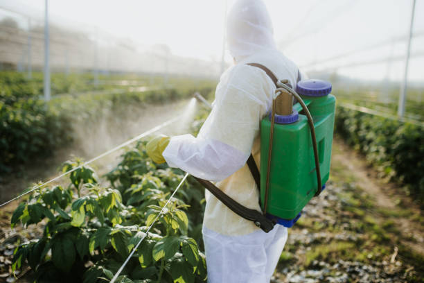 Best Cockroach Control Services  in North Newton, KS